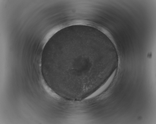 X0000113760954200910211206