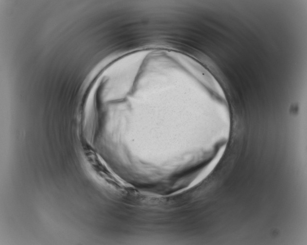 X0000113760955200910211206