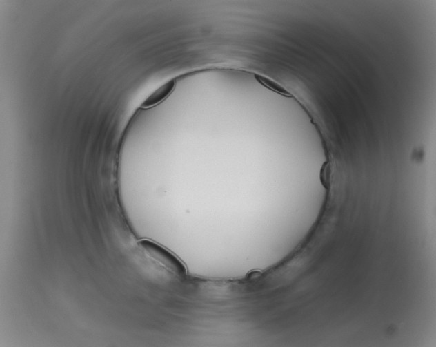 X0000113760956200910211206