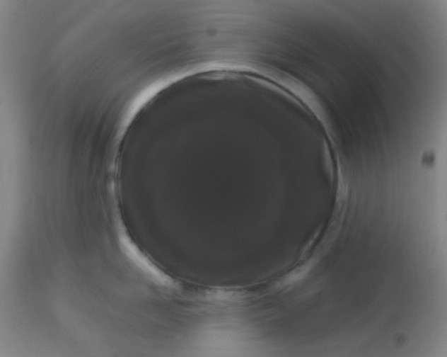 X0000113760958200910211206