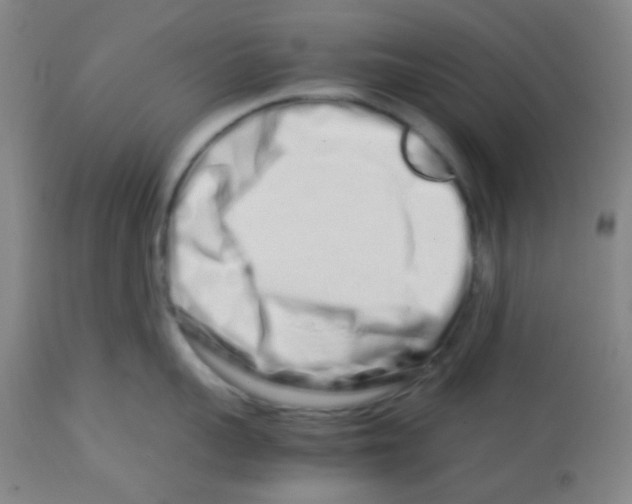 X0000113760959200910211206