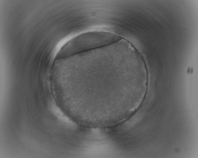 X0000113760960200910211206
