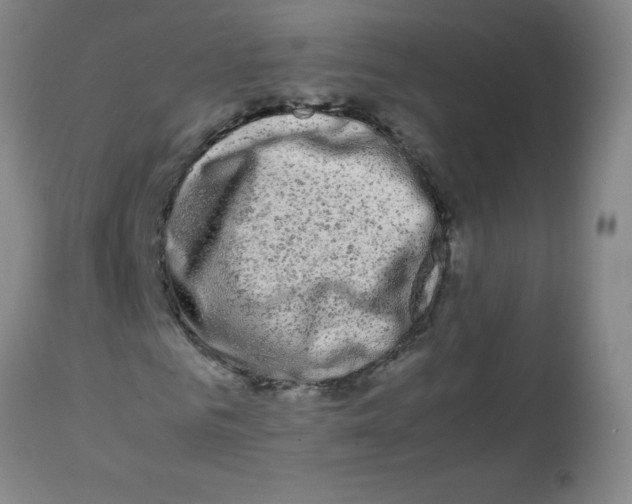 X0000113760961200910211205