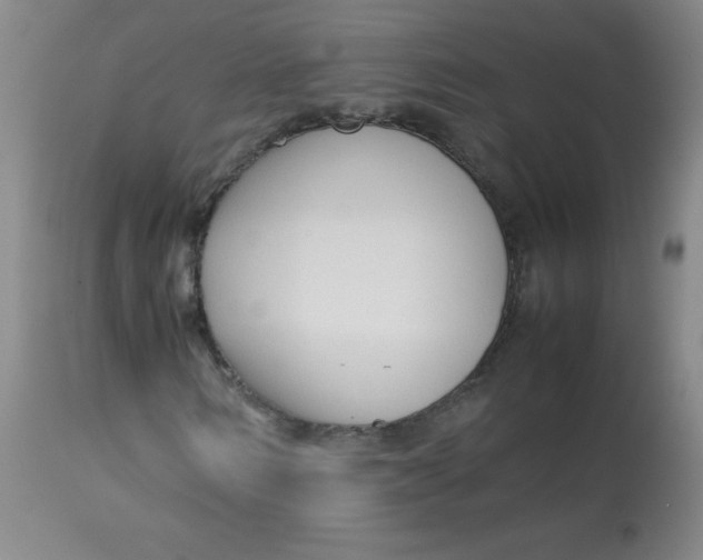 X0000113760962200910211205