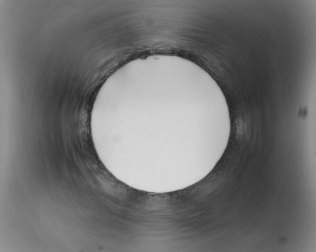 X0000113760964200910211205