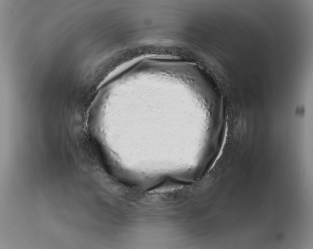 X0000113760966200910211205