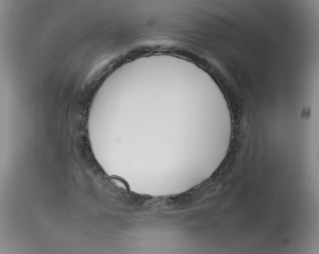 X0000113760967200910211205