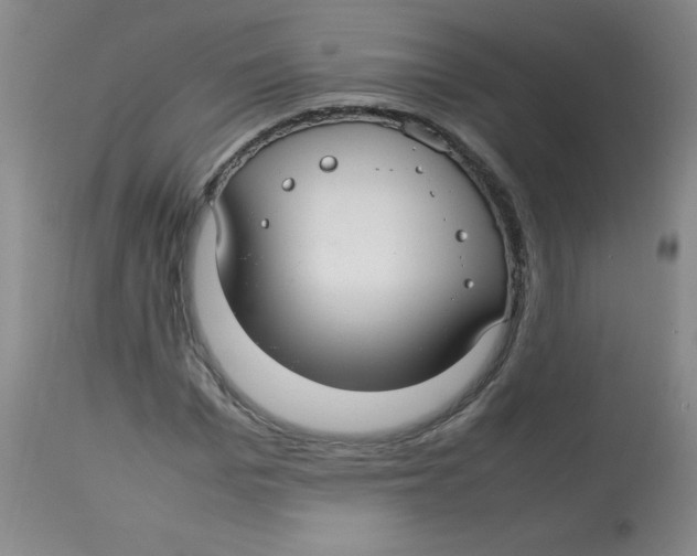 X0000113760969200910211205