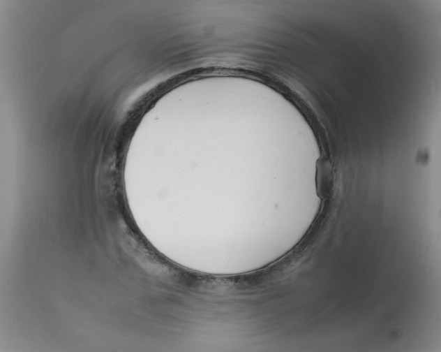 X0000113760971200910211205
