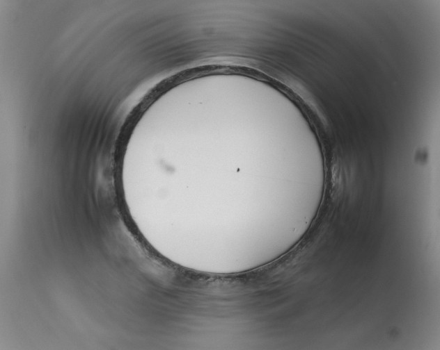 X0000113760972200910211205