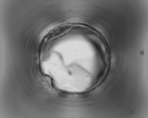 X0000113760973200910211205