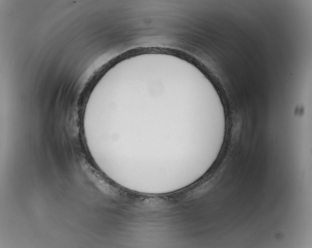 X0000113760974200910211205