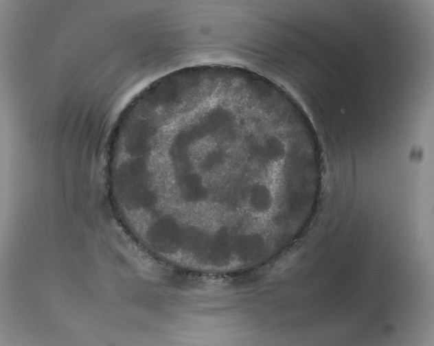 X0000113760975200910211205