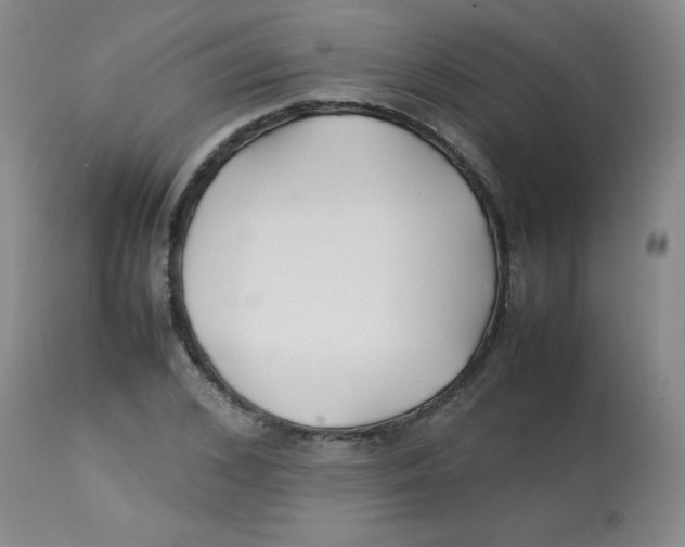X0000113760976200910211205