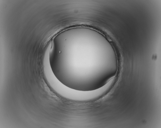 X0000113760977200910211205
