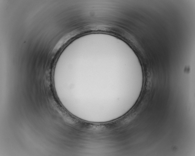 X0000113760978200910211205
