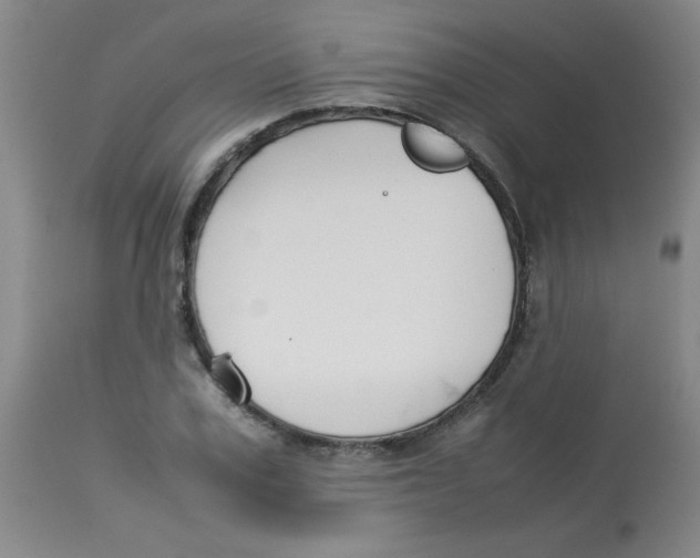 X0000113760979200910211205