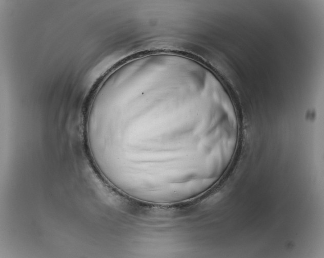 X0000113760981200910211205