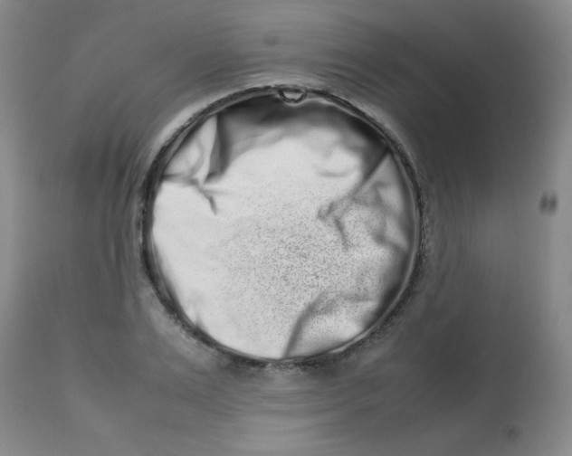 X0000113760983200910211205