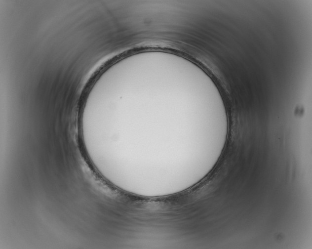 X0000113760984200910211205