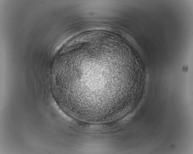 X0000113760985200910211205
