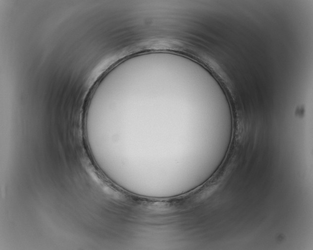 X0000113760986200910211205