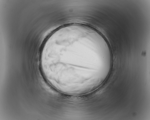 X0000113760987200910211205