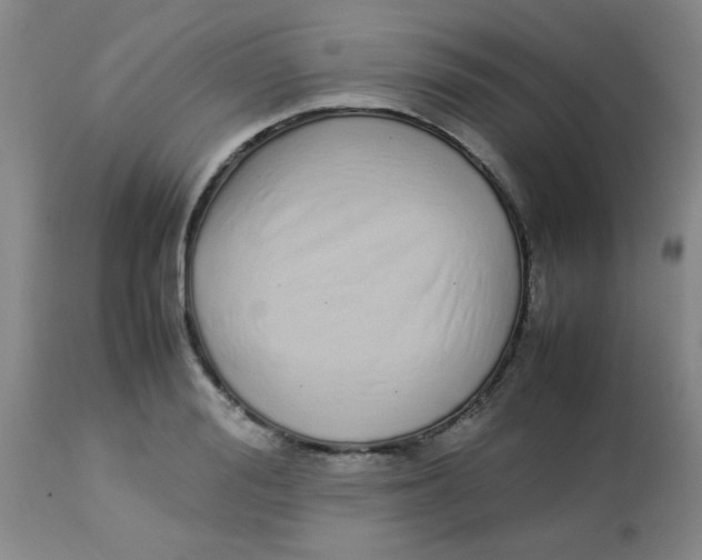 X0000113760988200910211205