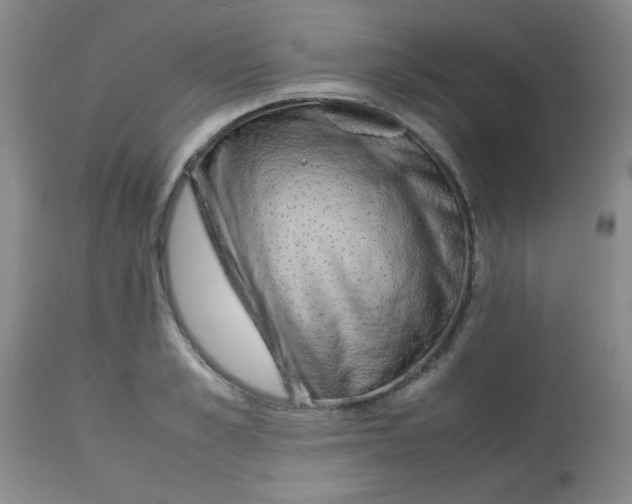 X0000113760989200910211205