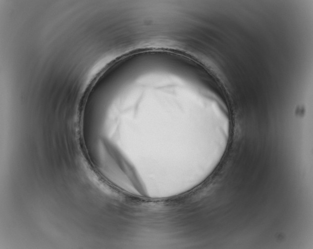 X0000113760990200910211205