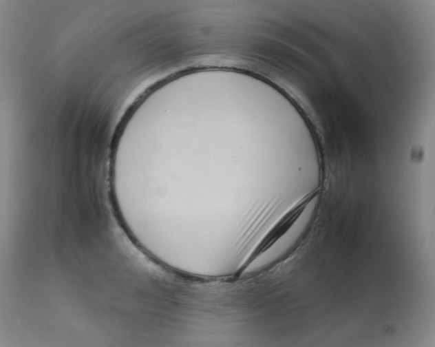 X0000113760992200910211205
