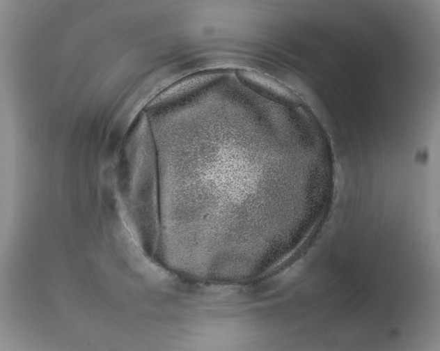 X0000113760993200910211205