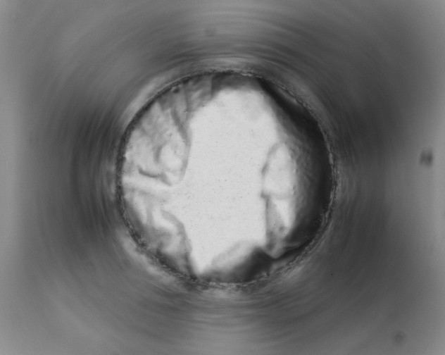 X0000113760994200910211205