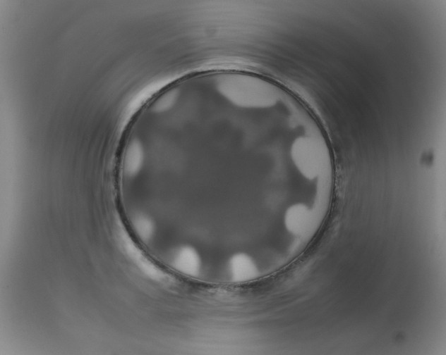X0000113760995200910211205