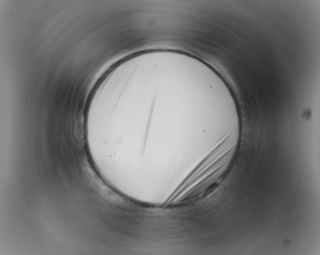 X0000113760996200910211205