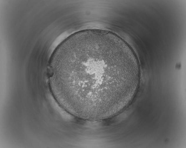 X0000113760997200910211205