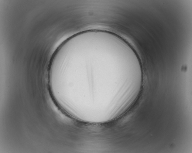 X0000113760999200910211205