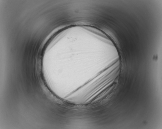 X0000113761000200910211205