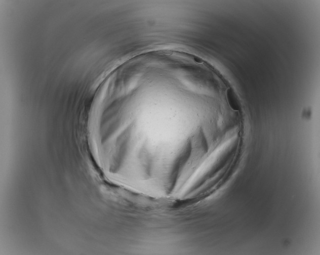 X0000113761001200910211205