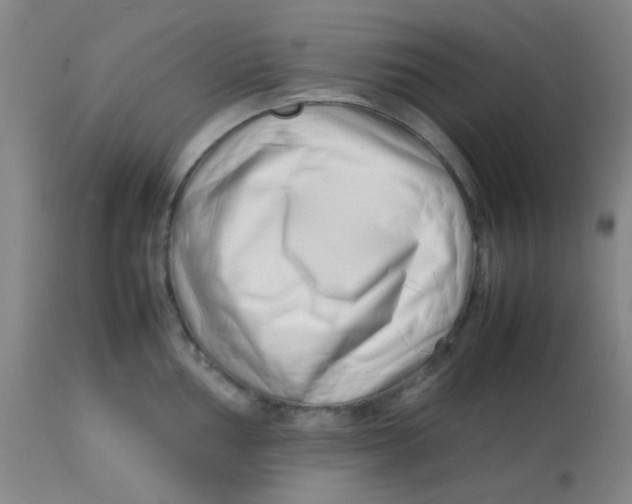 X0000113761002200910211205