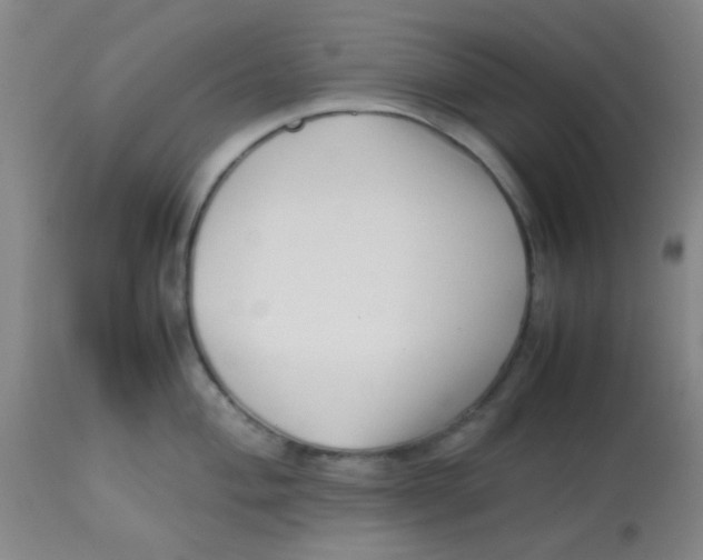 X0000113761004200910211205
