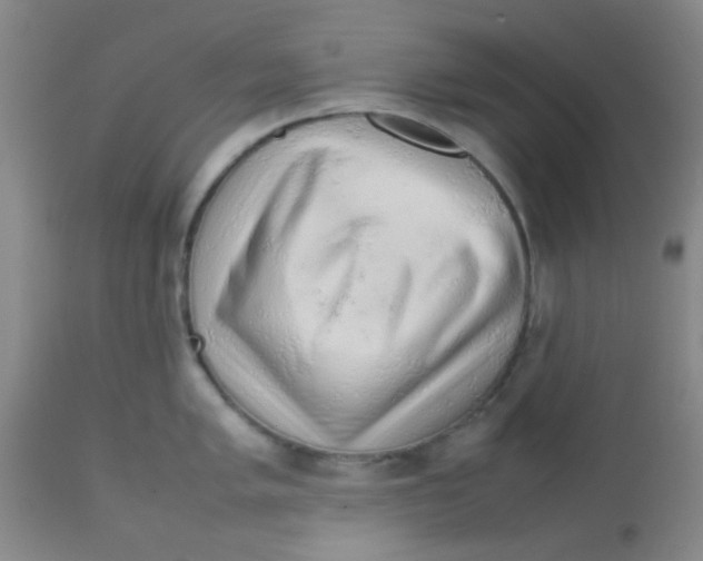 X0000113761005200910211205
