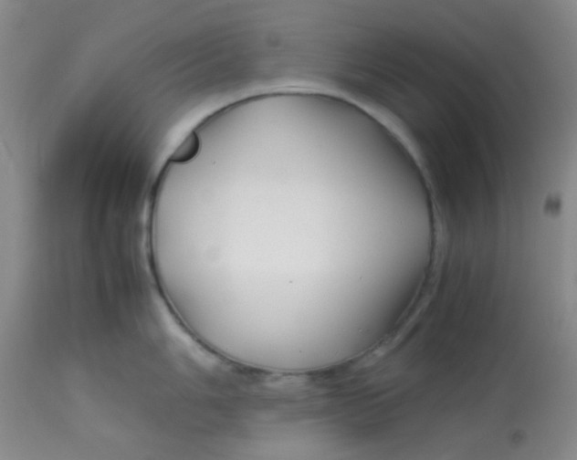 X0000113761006200910211205