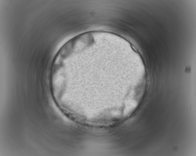 X0000113761007200910211205