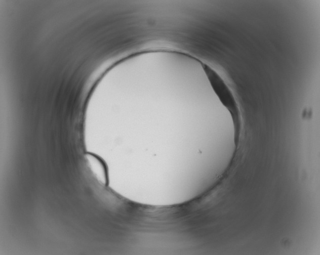 X0000113761008200910211205