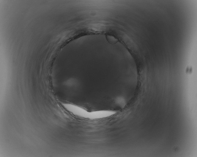 X0000113761009200910211204