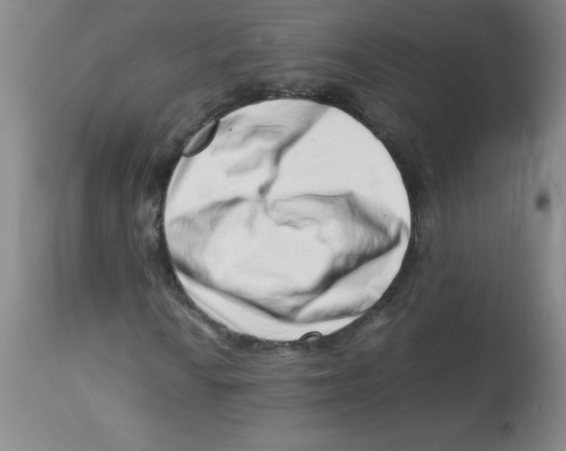 X0000113761010200910211204