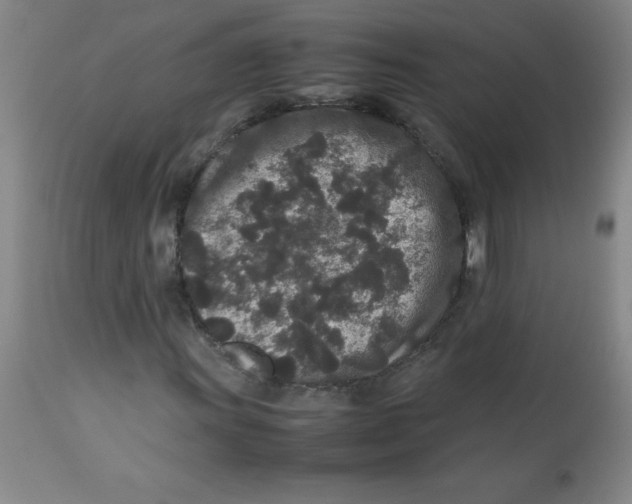 X0000113761011200910211204