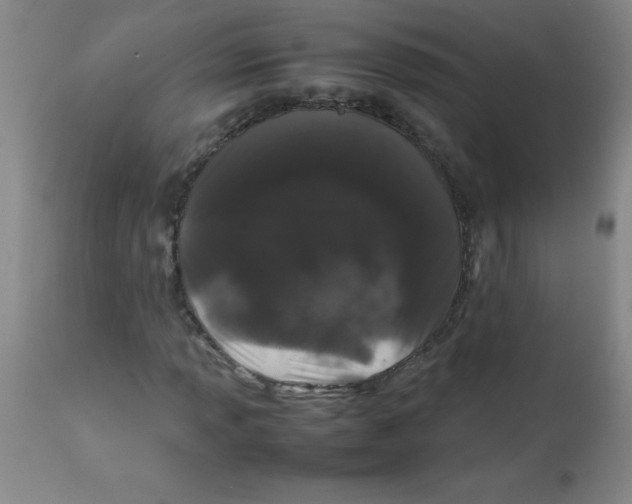 X0000113761013200910211204