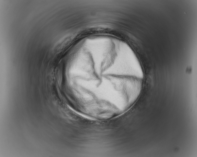 X0000113761014200910211204